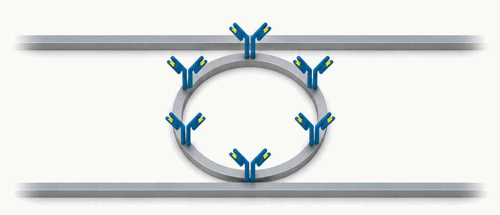 Functionalization: The surface is functionalized by using biorecognition elements