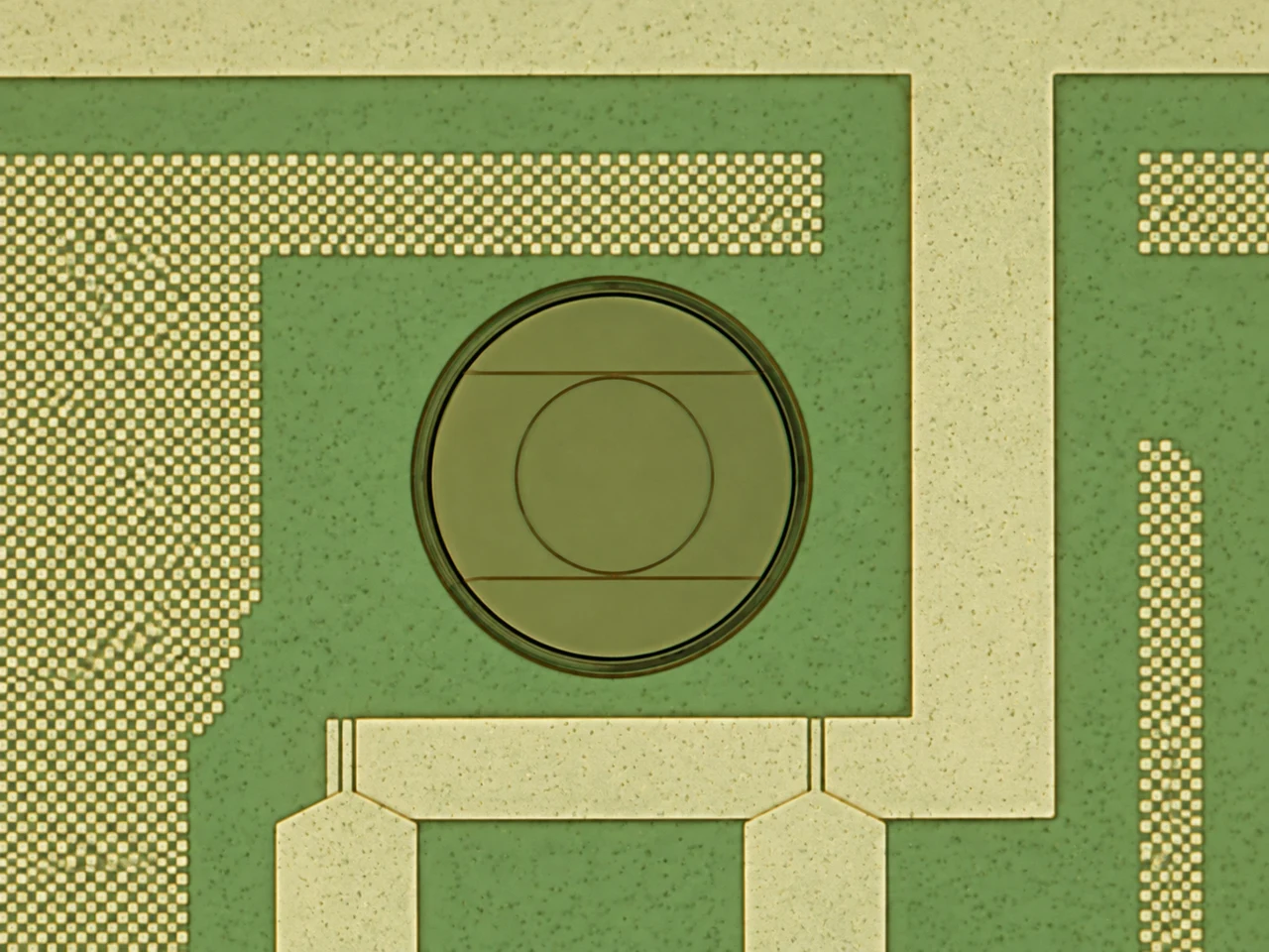 Close-up of a green photonic sensing ring